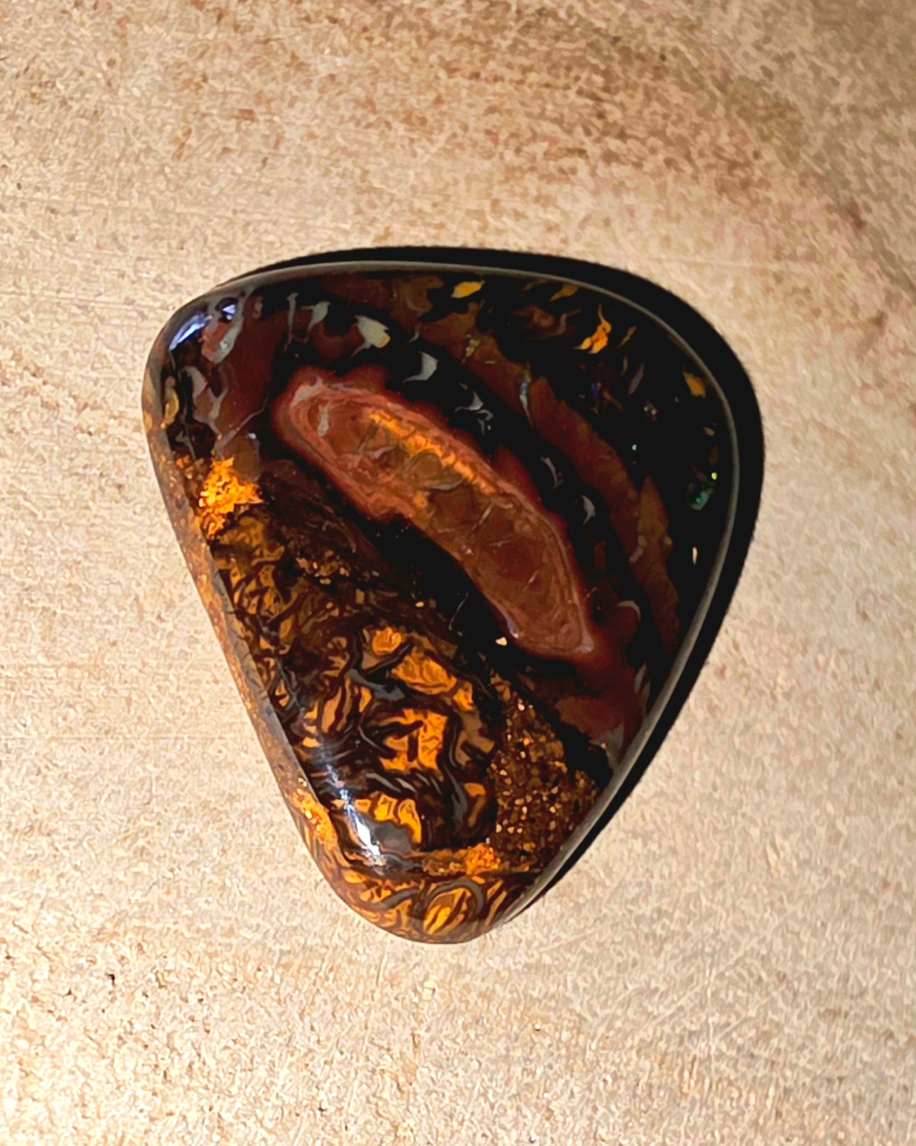 Tortoiseshell shell opal on a beige surface