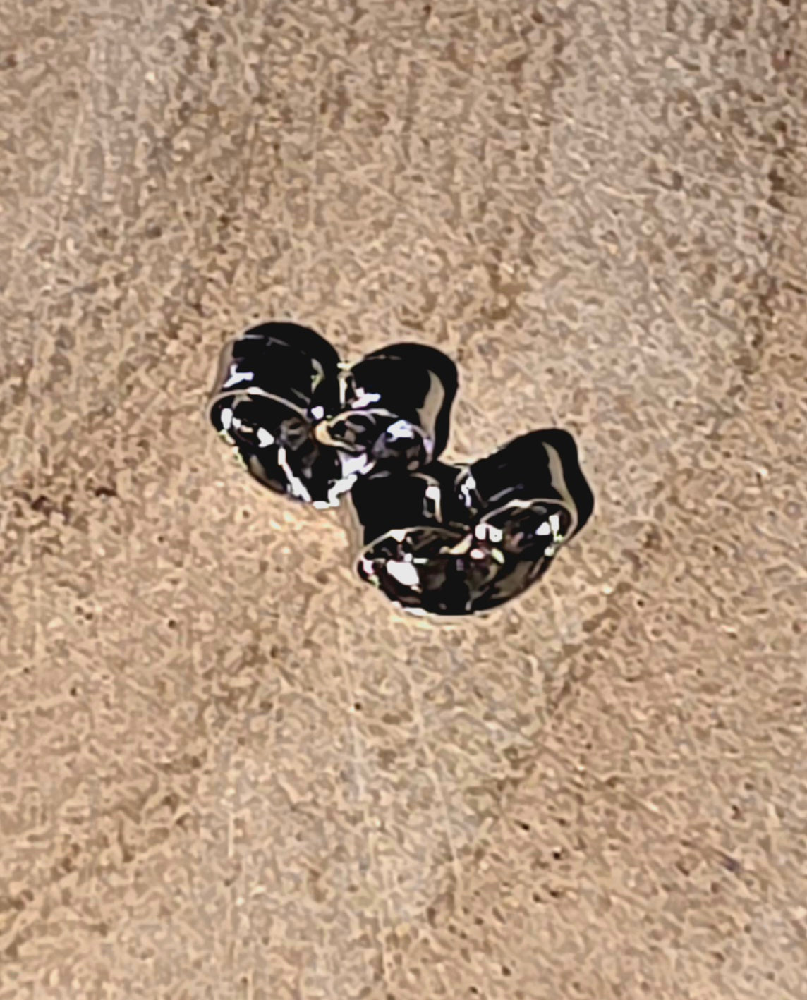 Butterfly earring backs