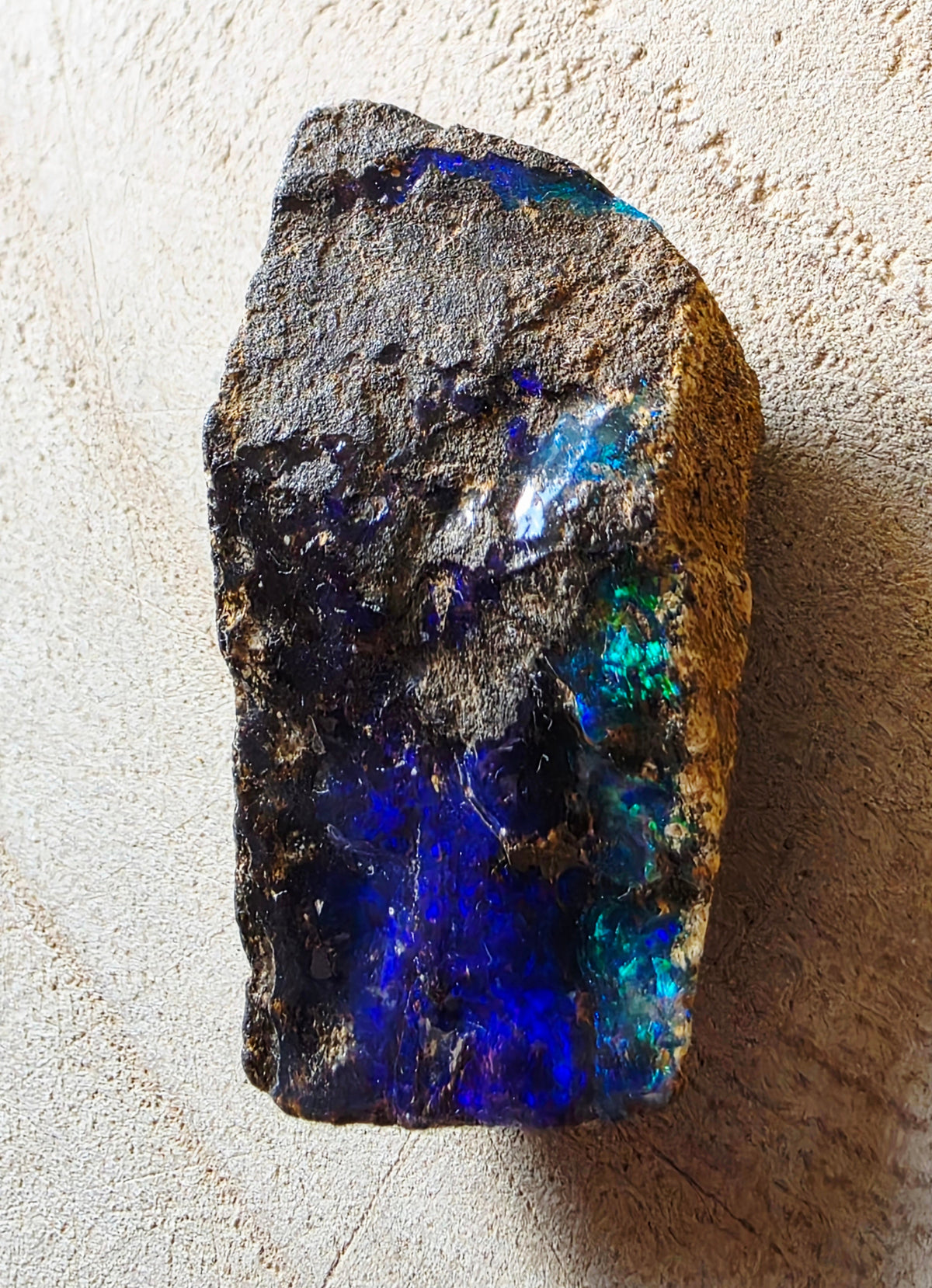 A rough natural opal stone with dark brown and black matrix, showing vibrant blue, green, and purple iridescent flashes, photographed on a textured beige surface.